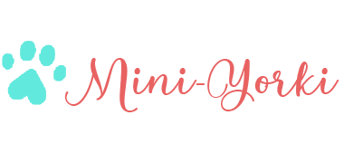 Mini-Yorki